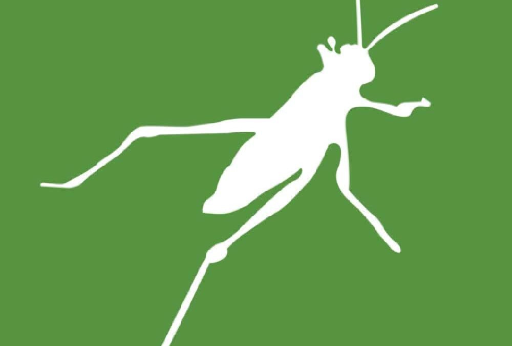 Grasshopper